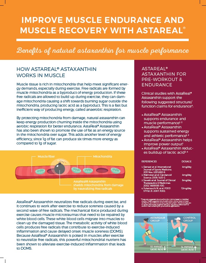 muscle-endurance-recovery-astareal