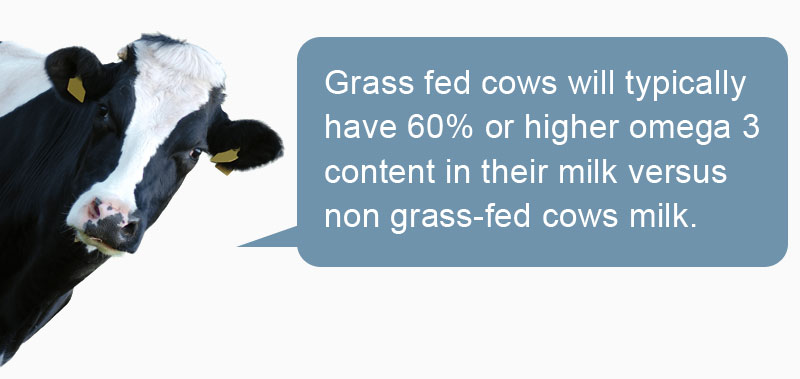 grass fed New Zealand cows omega 3